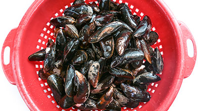 cozze risciacquo